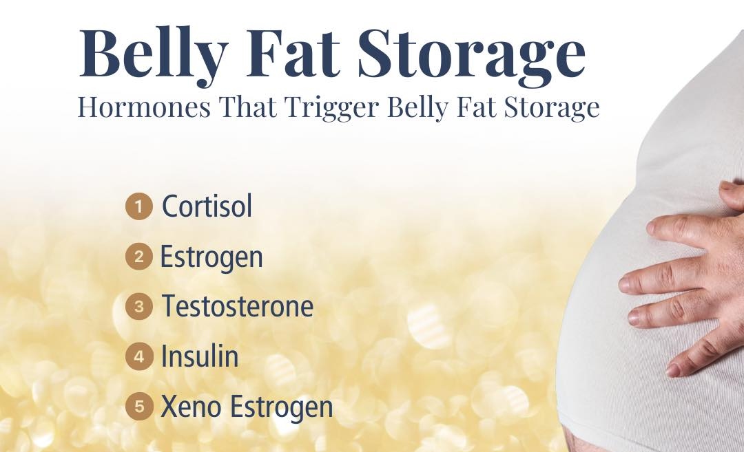 Hormones That Trigger Belly Fat Storage: What You Need to Know