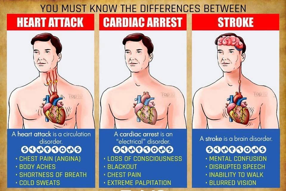 Heart Attack vs Cardiac Arrest vs Stroke: Know the Difference & How to Prevent Them Through Diet