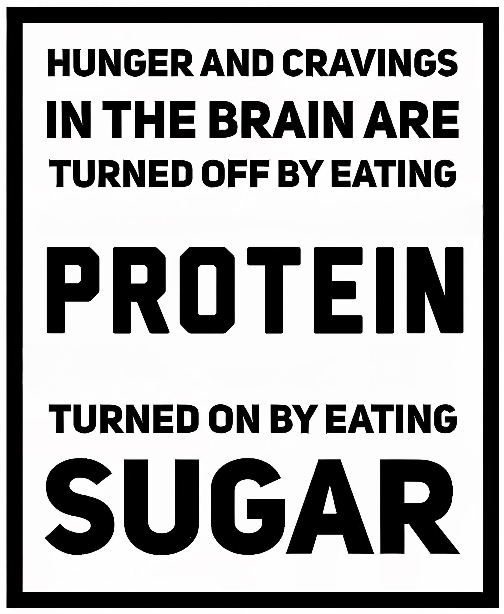 The Hunger Switch: Protein’s Power to Control Cravings & Boost Satiety