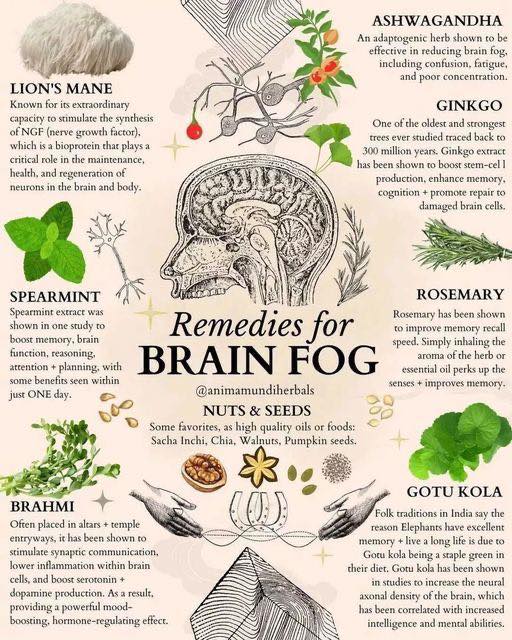 Decoding Brain Fog: Current Insights & Effective Remedies for a Clearer Mind
