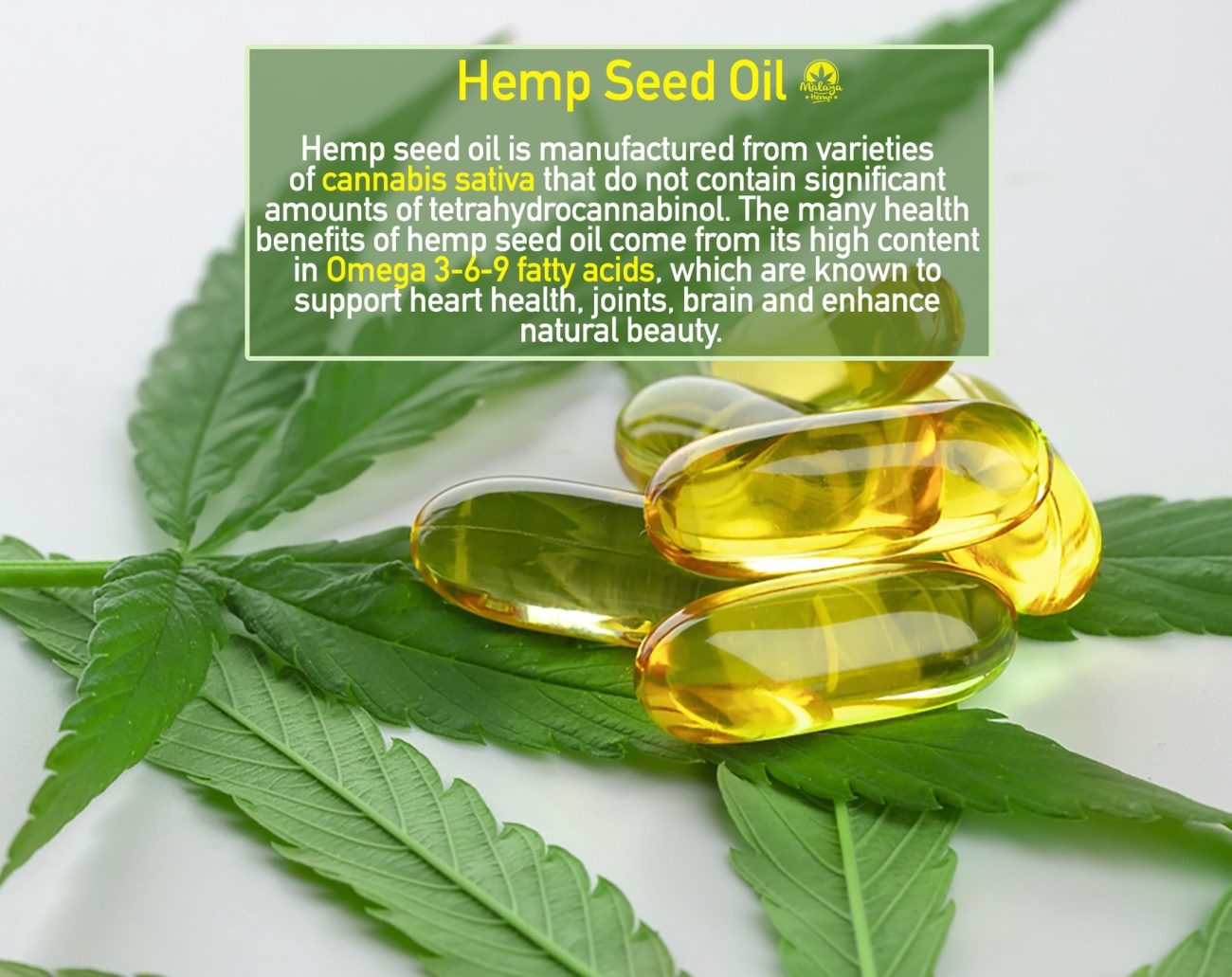 hemp seed oil