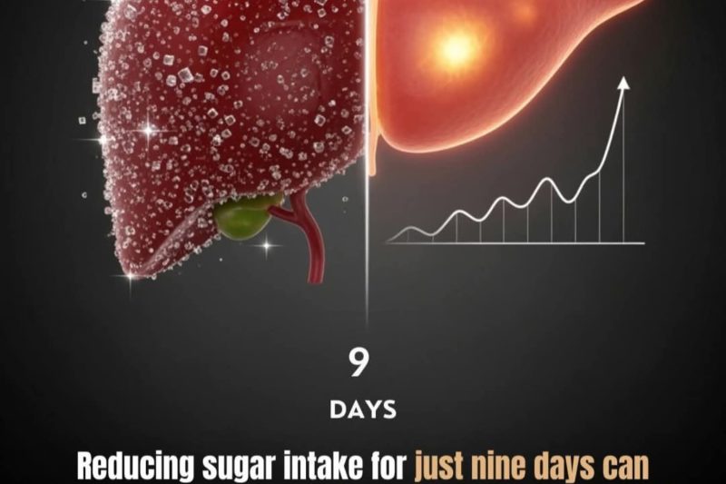 The 9-Day Liver Reset: How Slashing Sugar Can Rapidly Improve Liver Health and Insulin Sensitivity